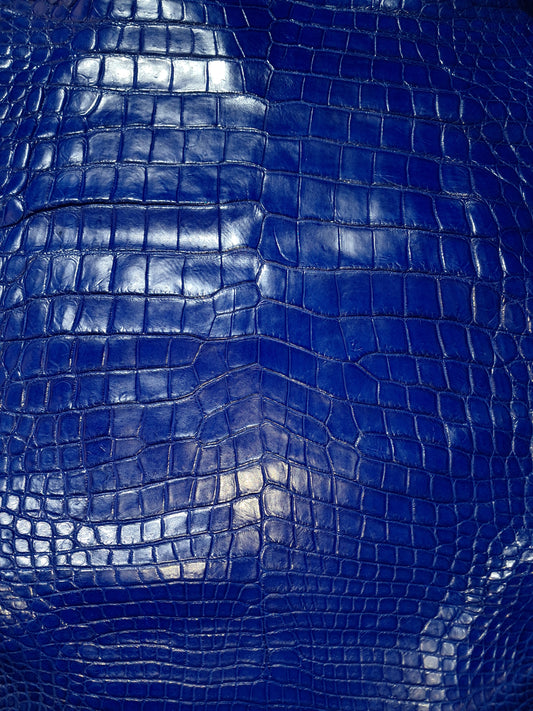 Electric Blue Australian Crocodile Belly