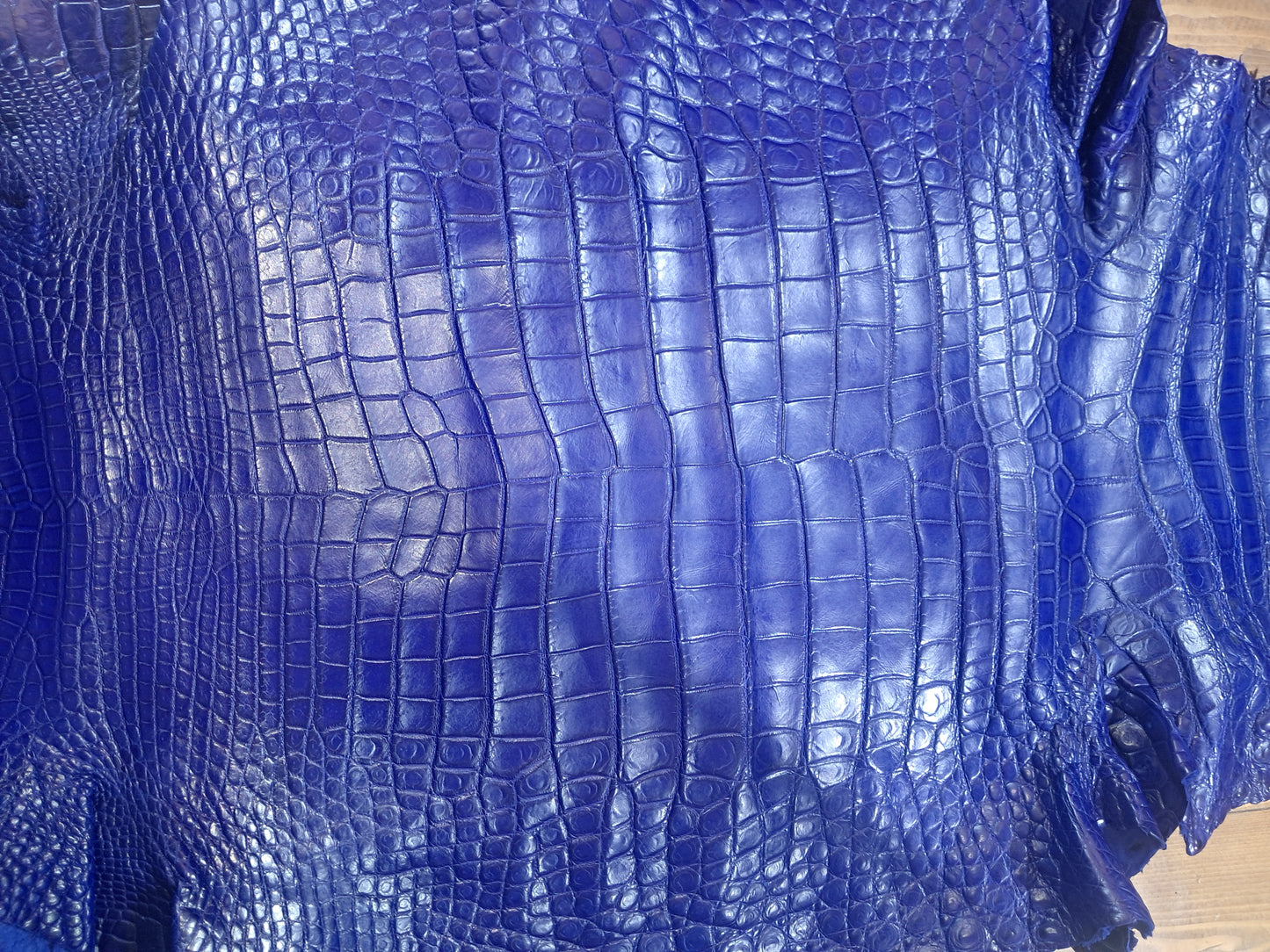 Royal Blue Australian Crocodile Belly