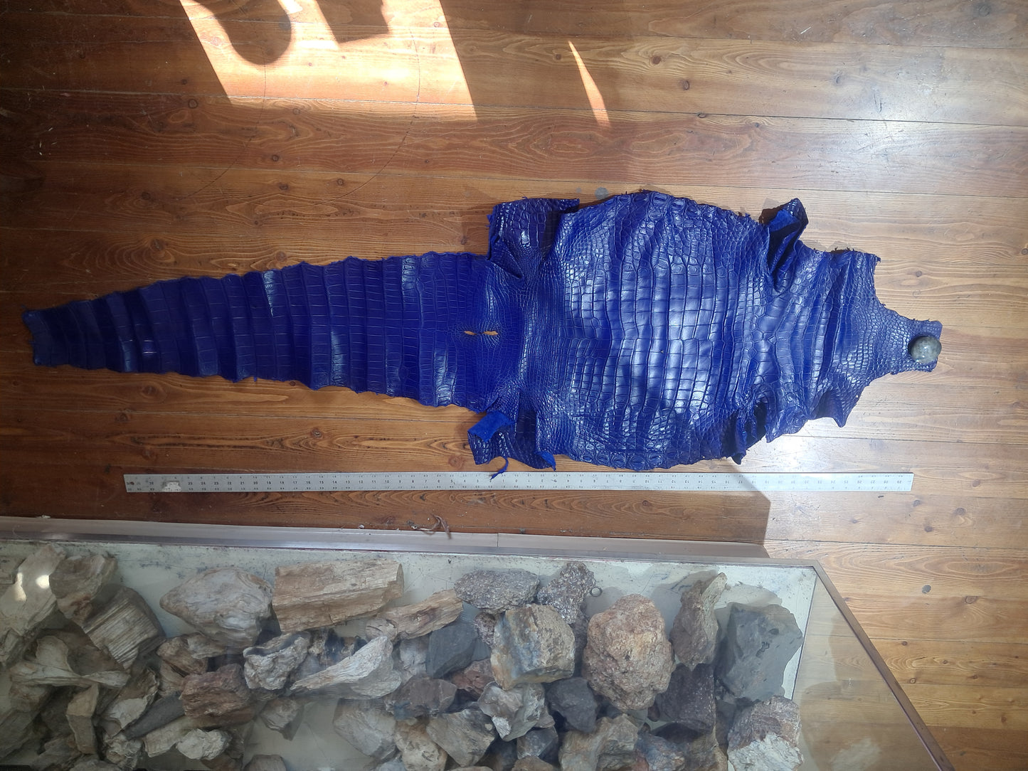 Royal Blue Australian Crocodile Belly