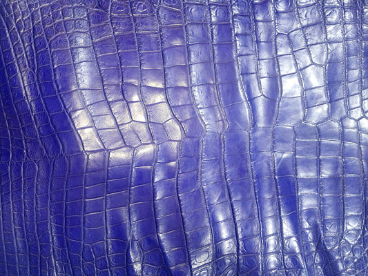 Royal Blue Australian Crocodile Belly