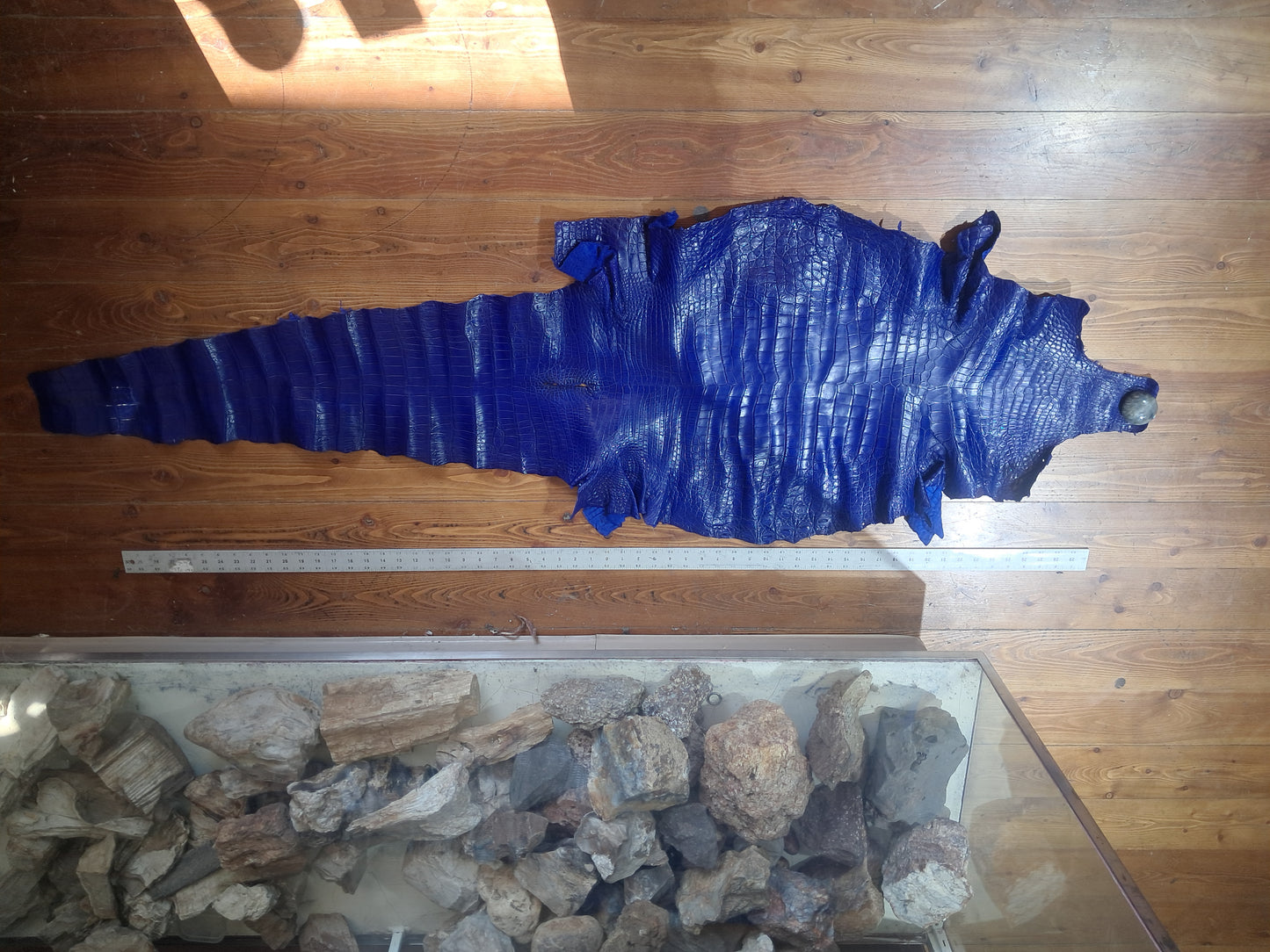 Royal Blue Australian Crocodile Belly