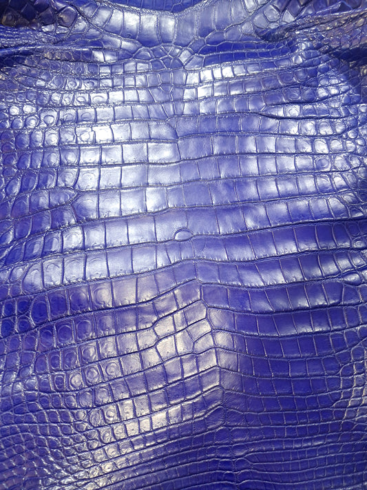 Royal Blue Australian Crocodile Belly