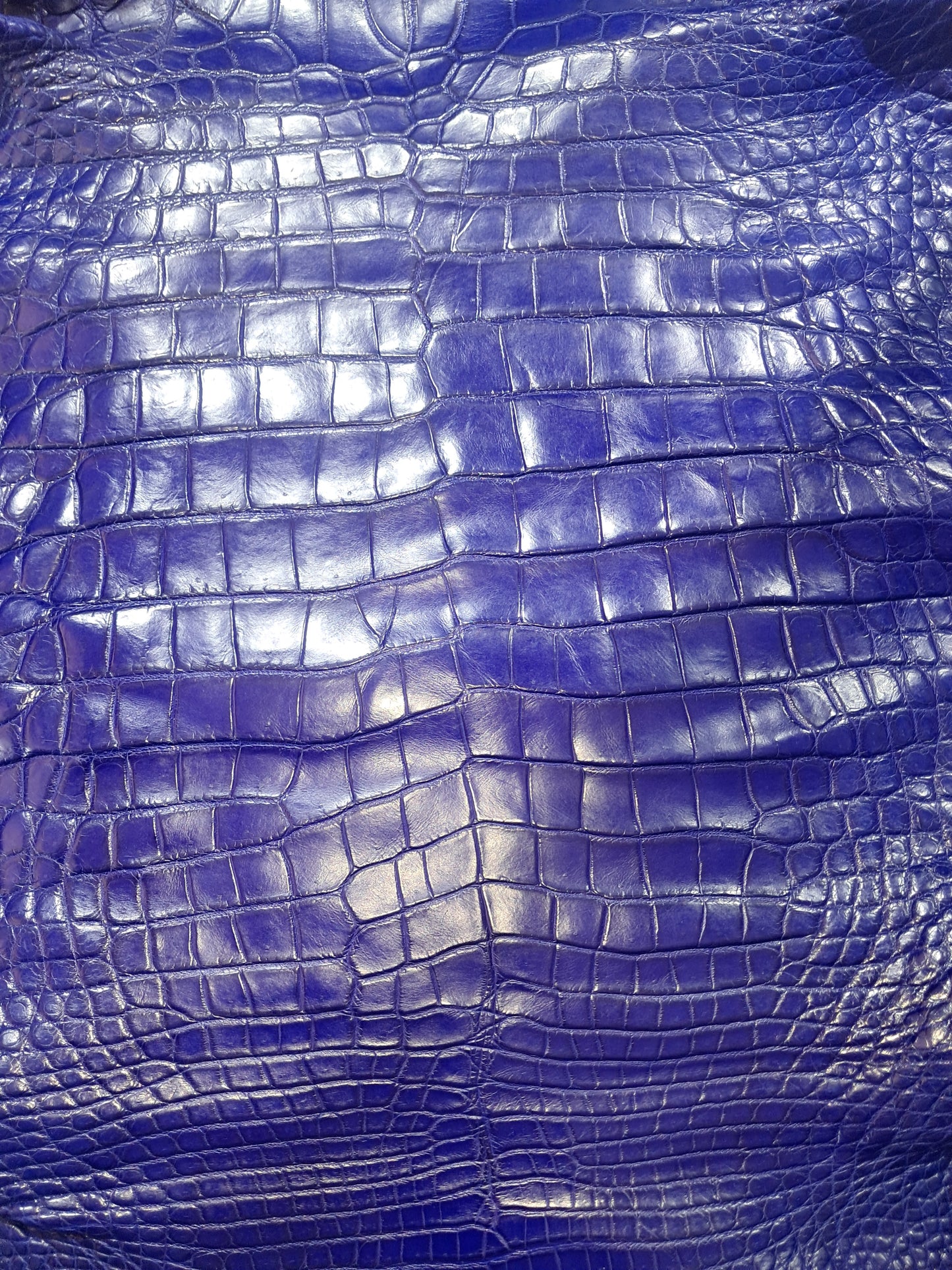 Royal Blue Australian Crocodile Belly