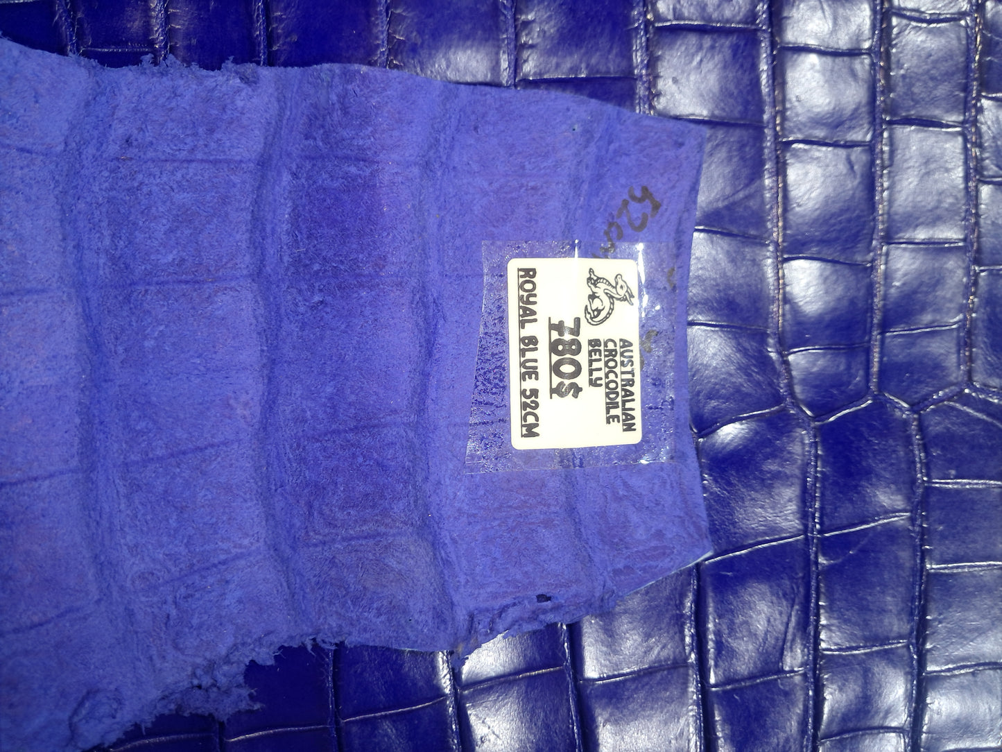 Royal Blue Australian Crocodile Belly