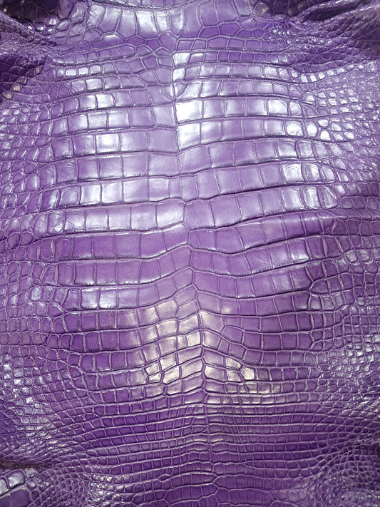 Purple Australian Crocodile Belly