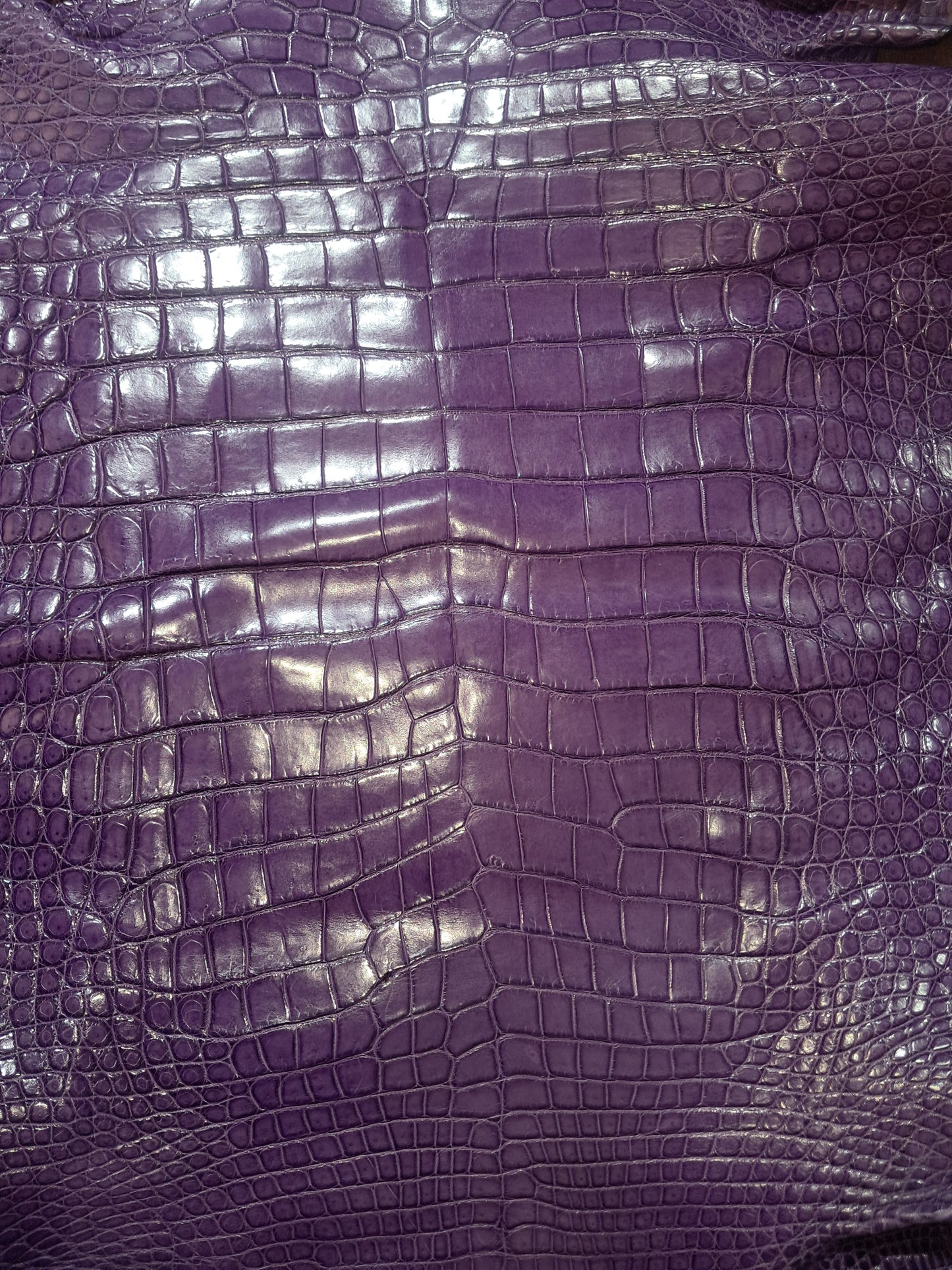 Purple Australian Crocodile Belly