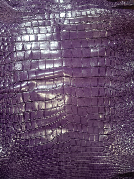 Purple Australian Crocodile Belly
