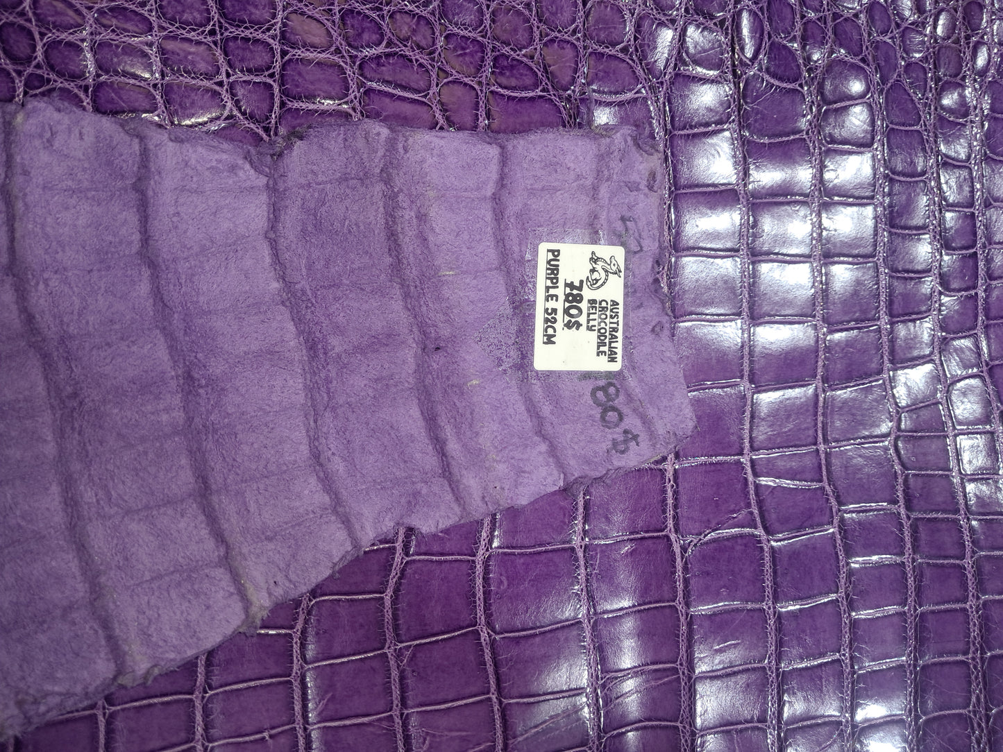 Purple Australian Crocodile Belly