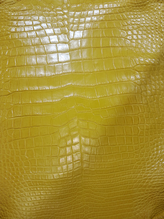 Pure Yellow Australian Crocodile Belly