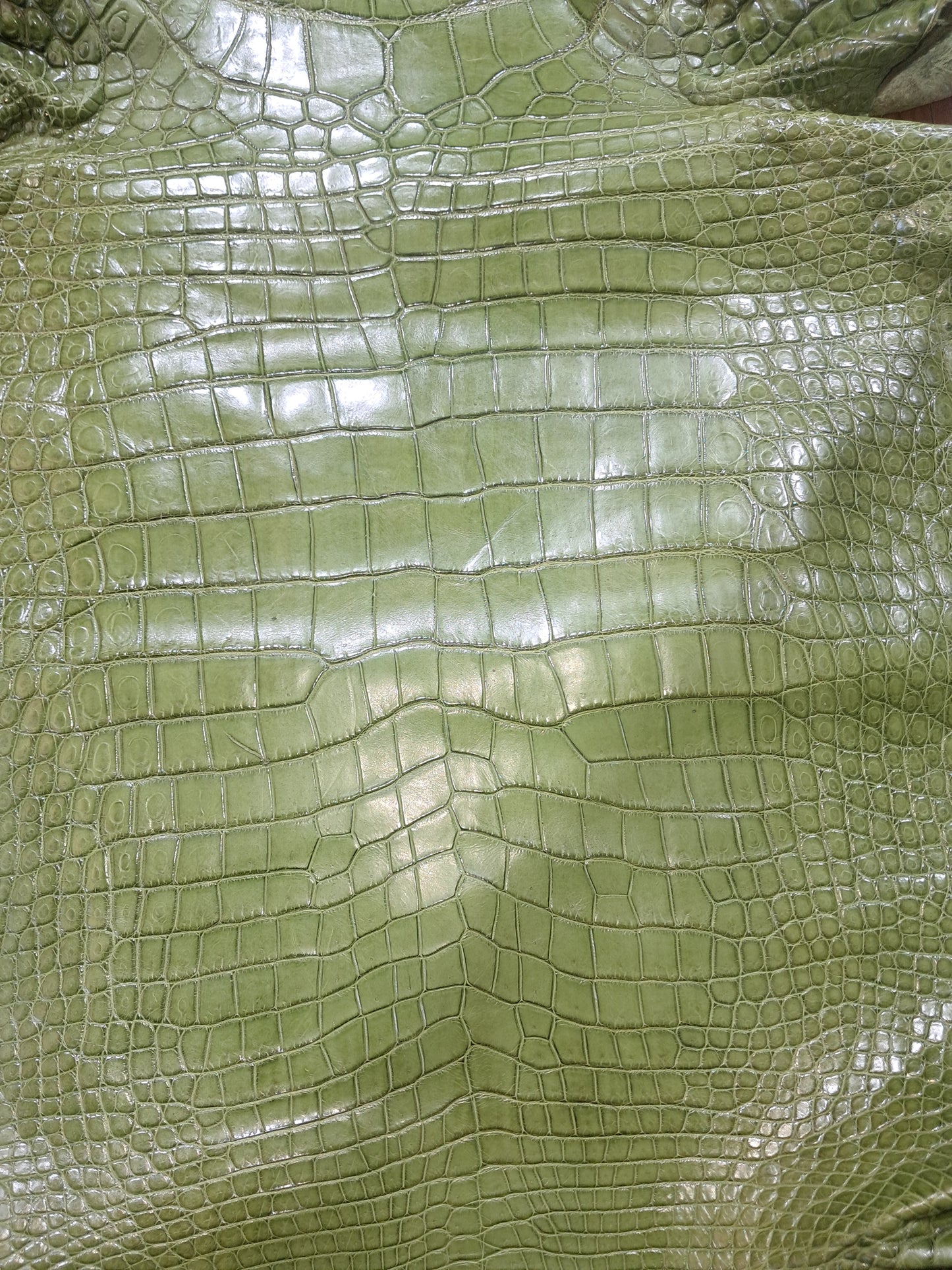 Dark Olive Australian Crocodile Belly