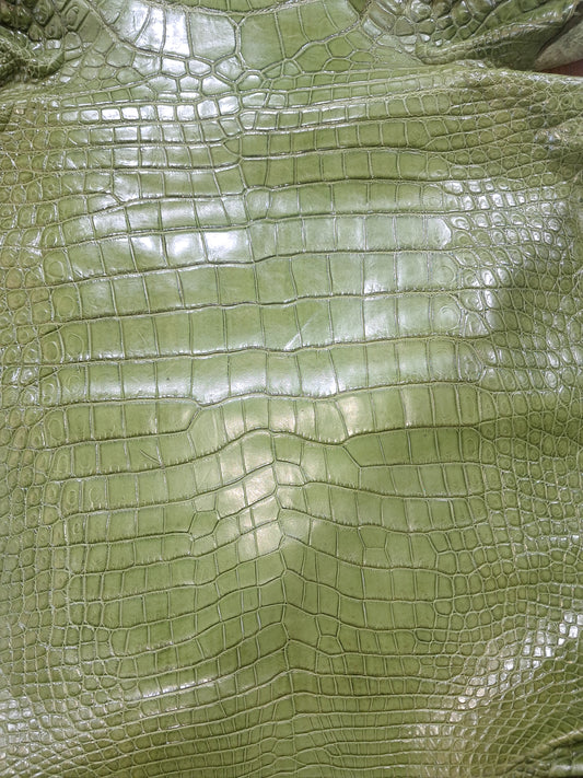 Dark Olive Australian Crocodile Belly