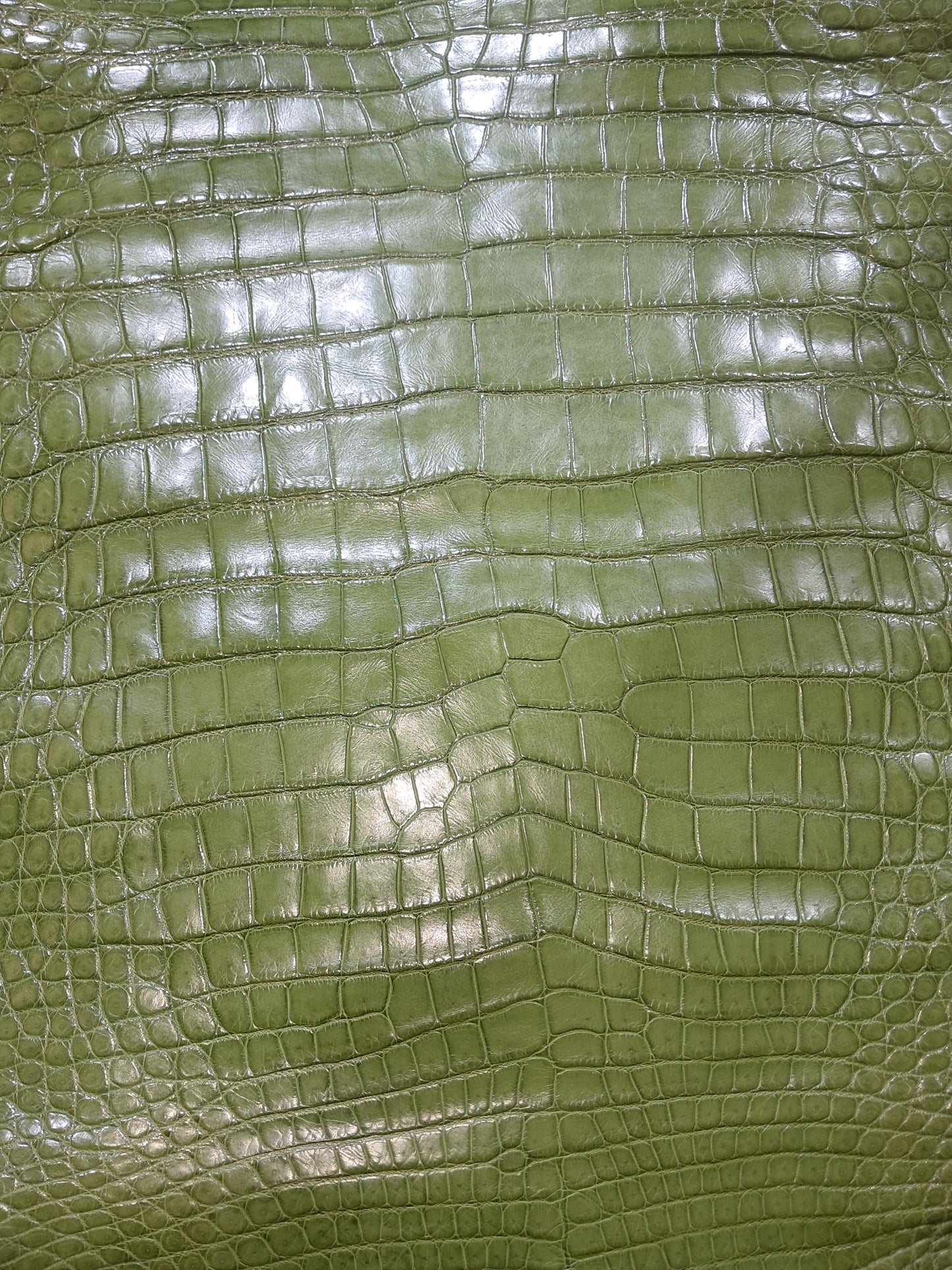 Dark Olive Australian Crocodile Belly