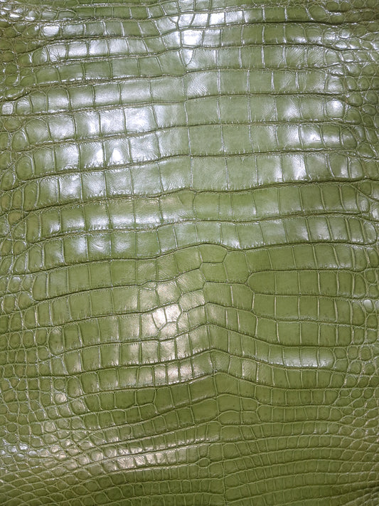 Dark Olive Australian Crocodile Belly