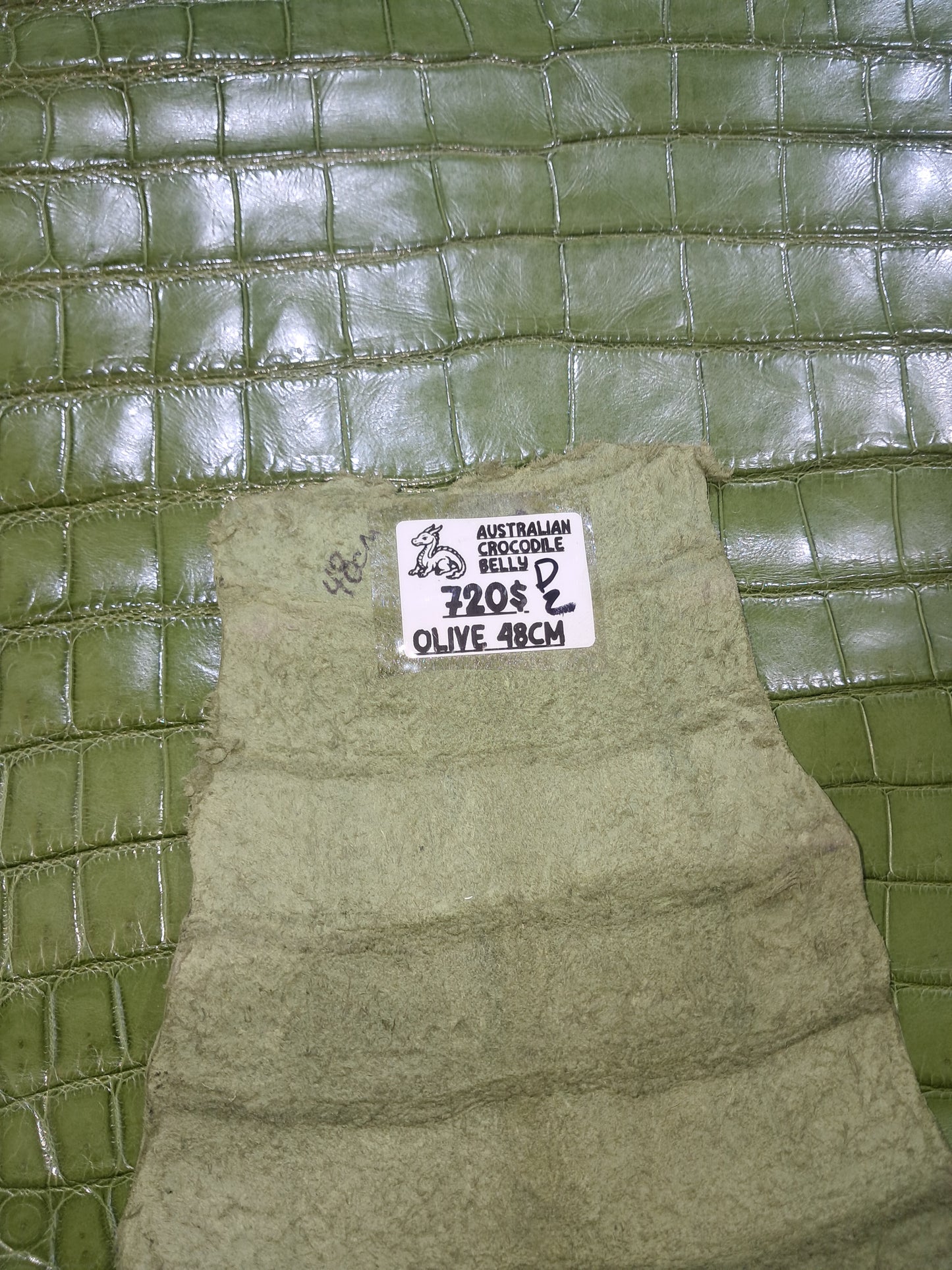 Dark Olive Australian Crocodile Belly