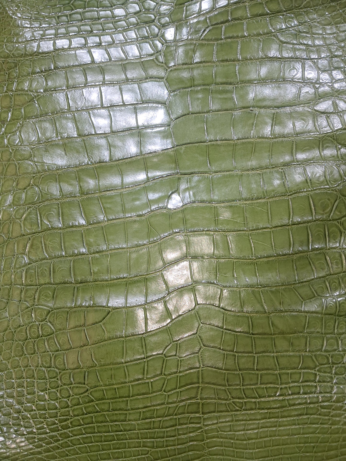 Dark Olive Australian Crocodile Belly