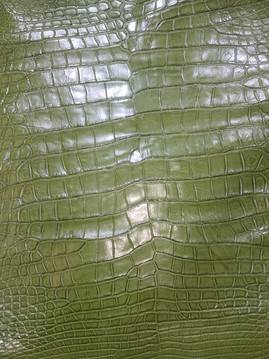 Dark Olive Australian Crocodile Belly