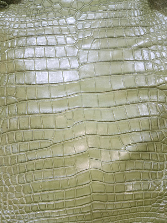 Olive Australian Crocodile Belly