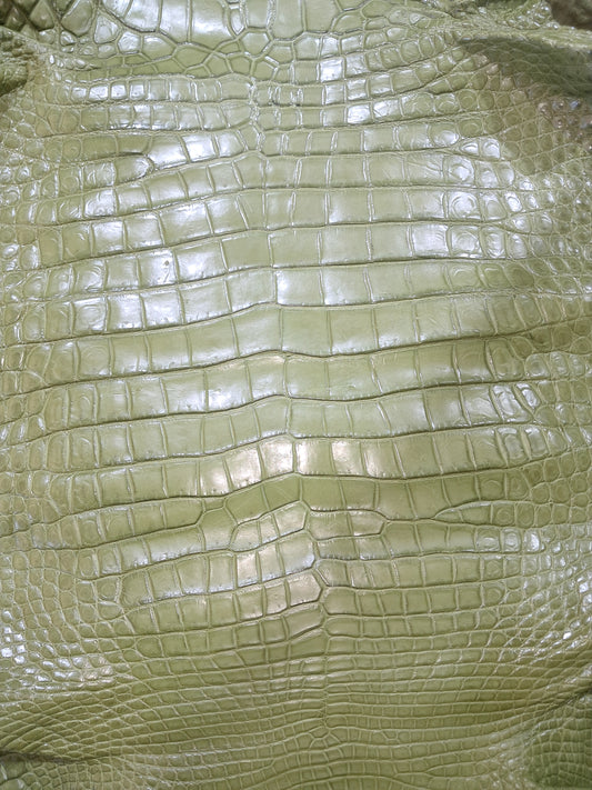 Olive Australian Crocodile Belly