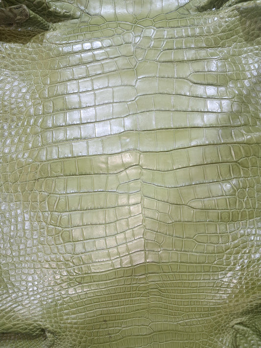Olive Australian Crocodile Belly