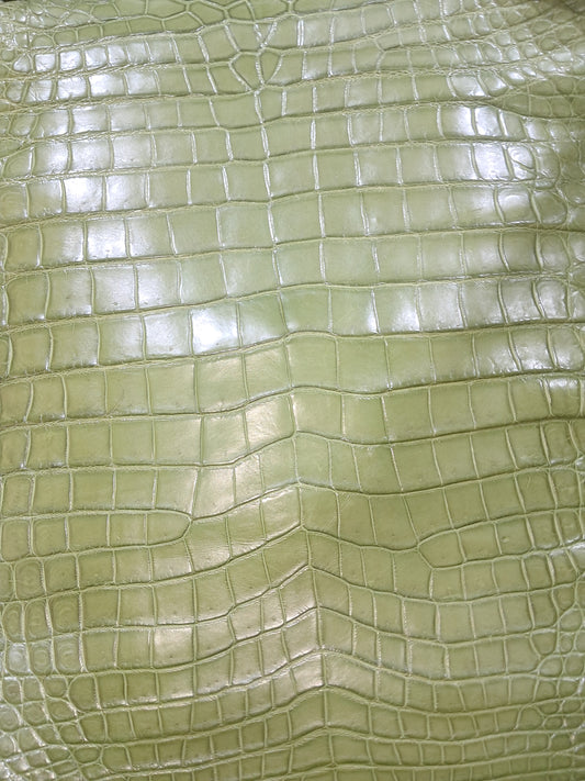 Olive Australian Crocodile Belly