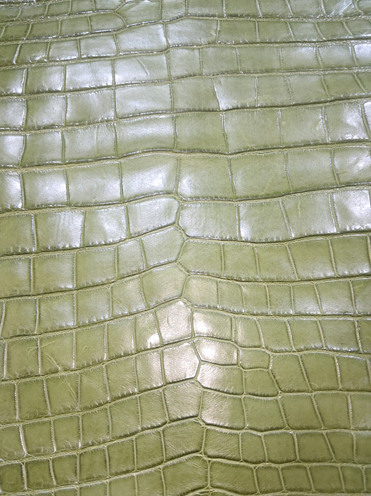 Olive Australian Crocodile Belly