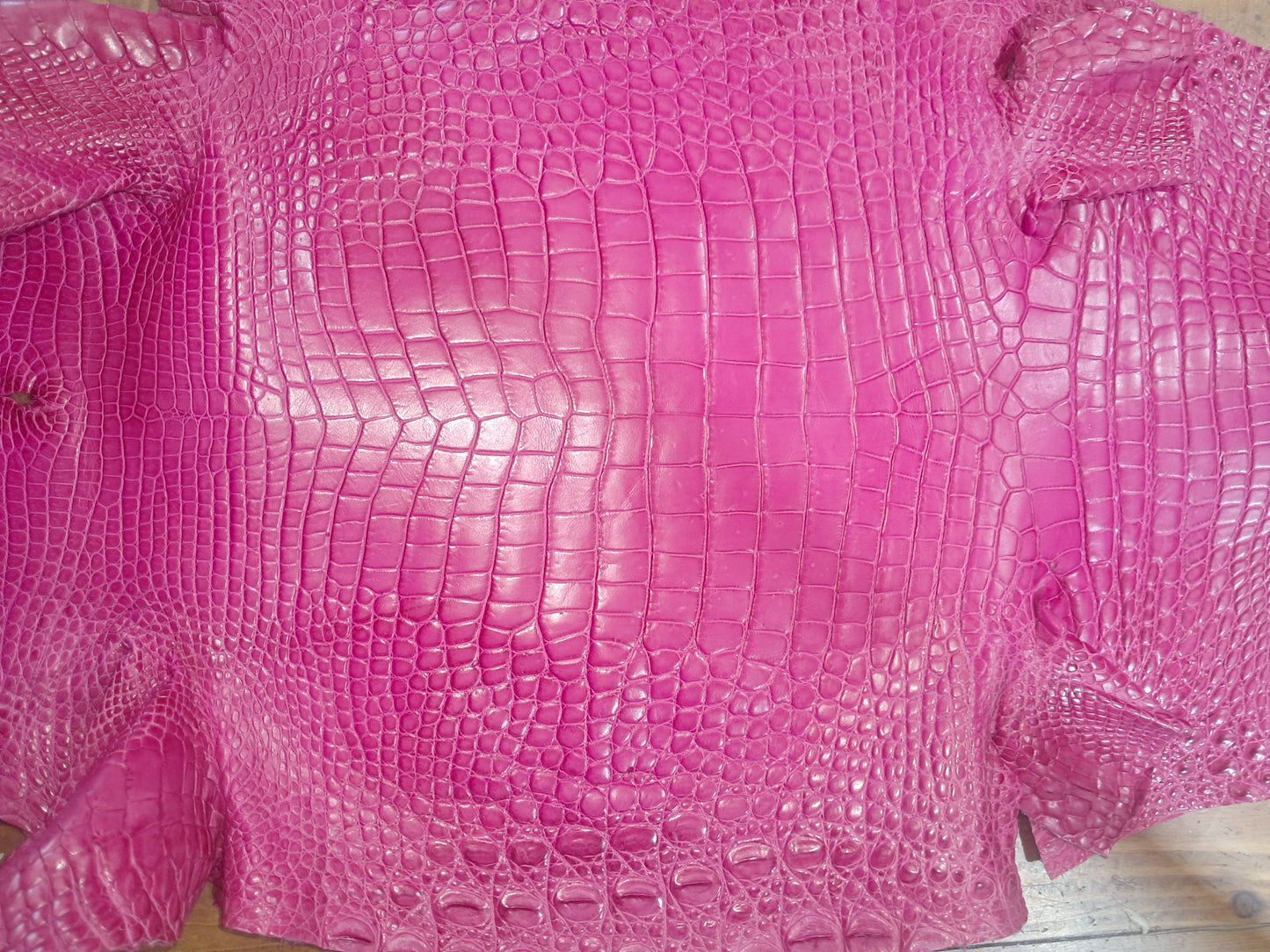 Bright Pink Australian Crocodile Belly