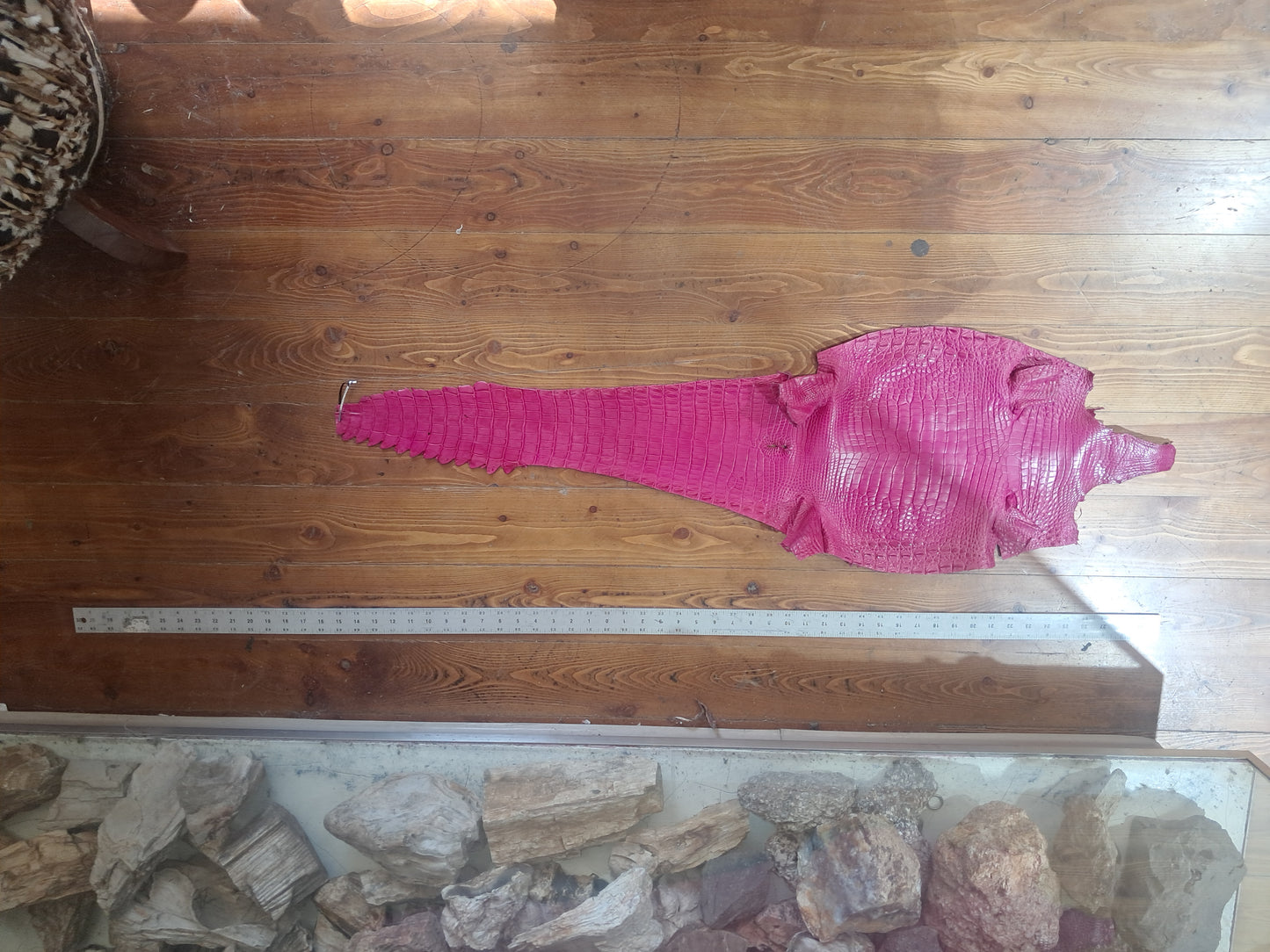 Bright Pink Australian Crocodile Belly
