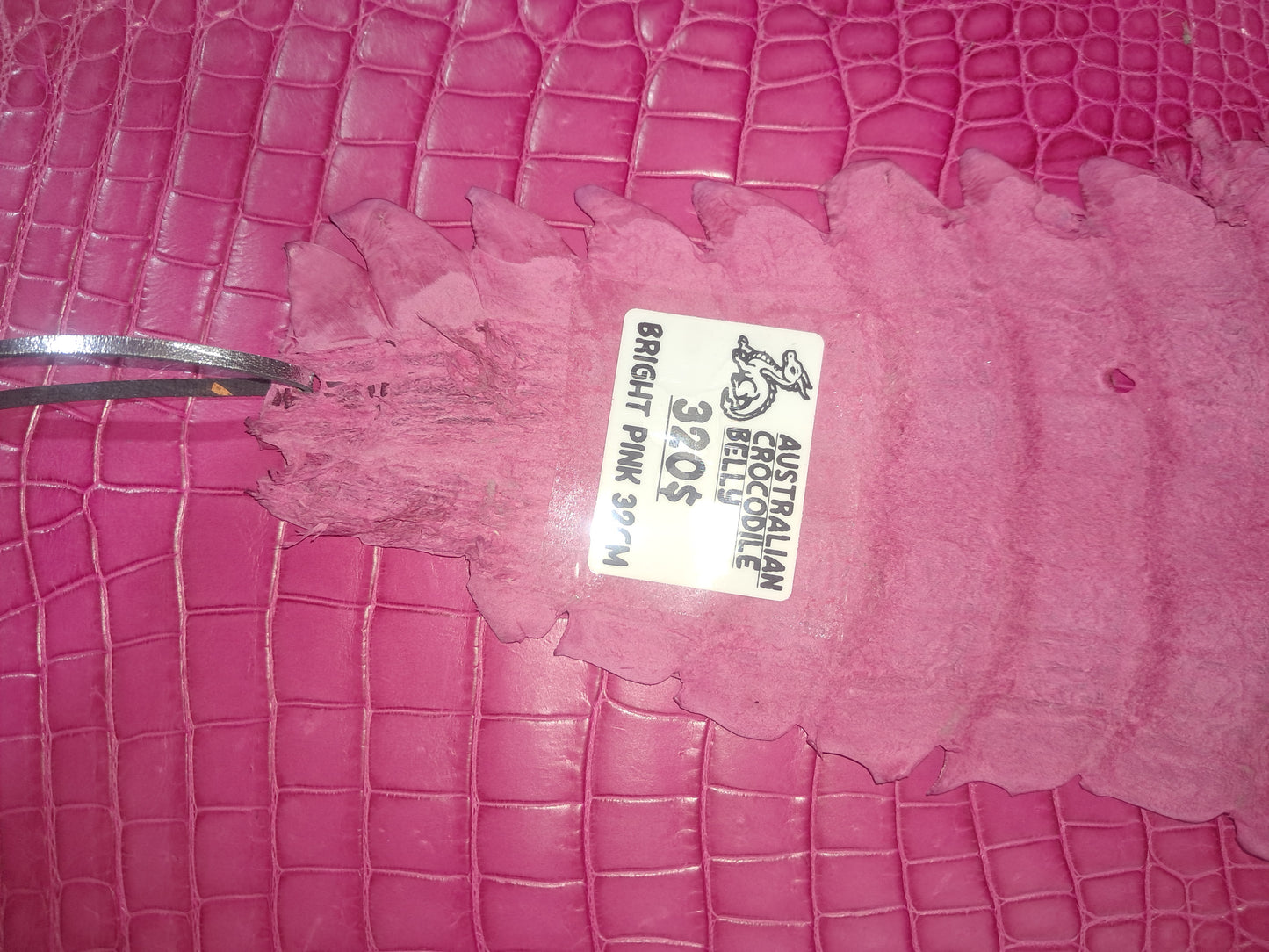Bright Pink Australian Crocodile Belly