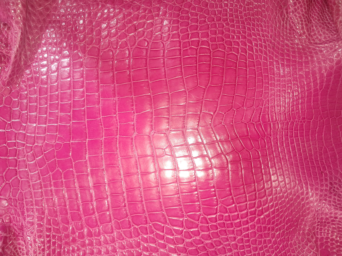 Bright Pink Australian Crocodile Belly