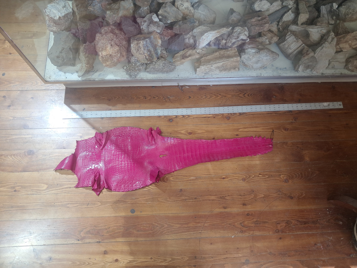 Bright Pink Australian Crocodile Belly