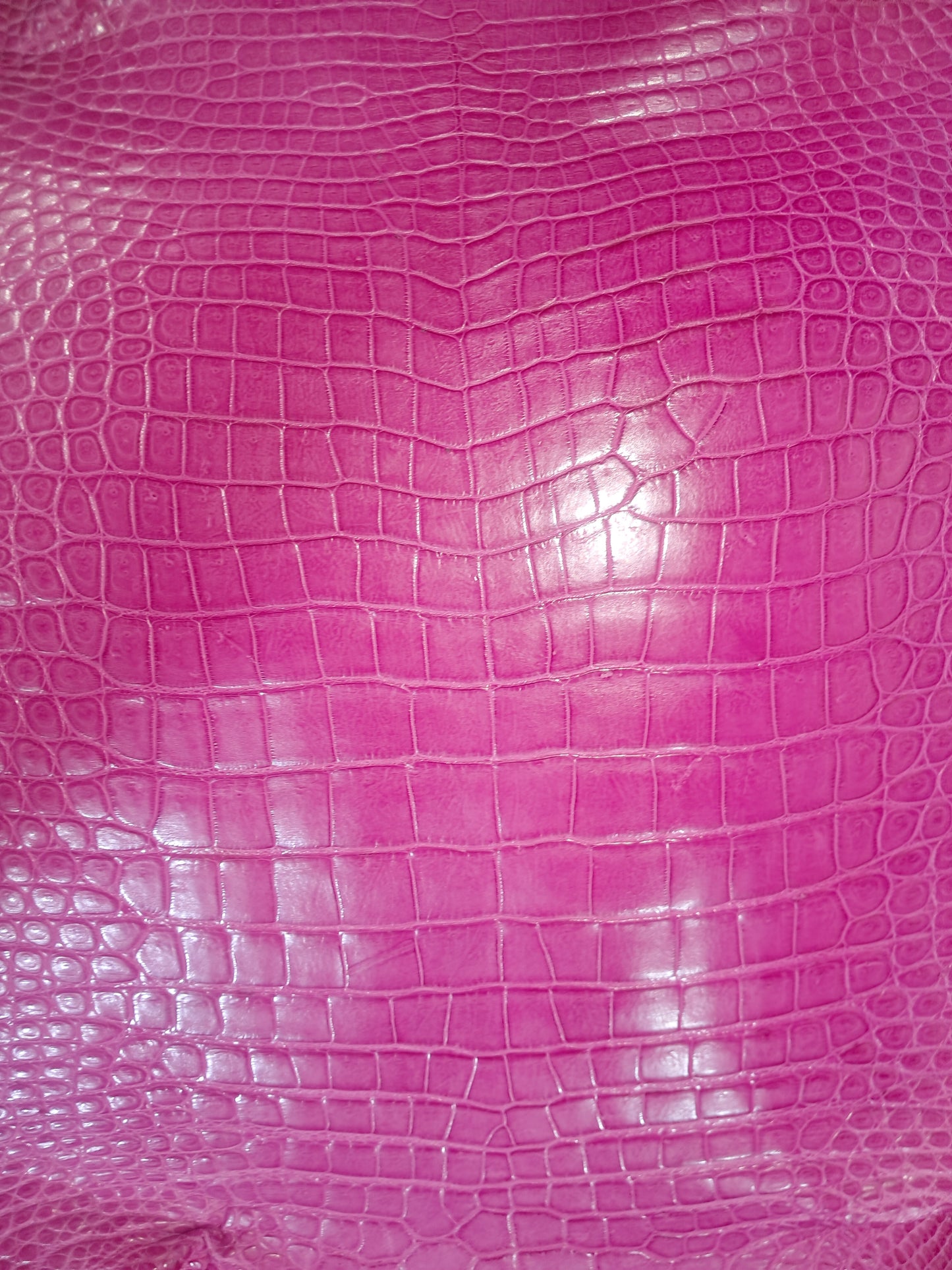 Bright Pink Australian Crocodile Belly