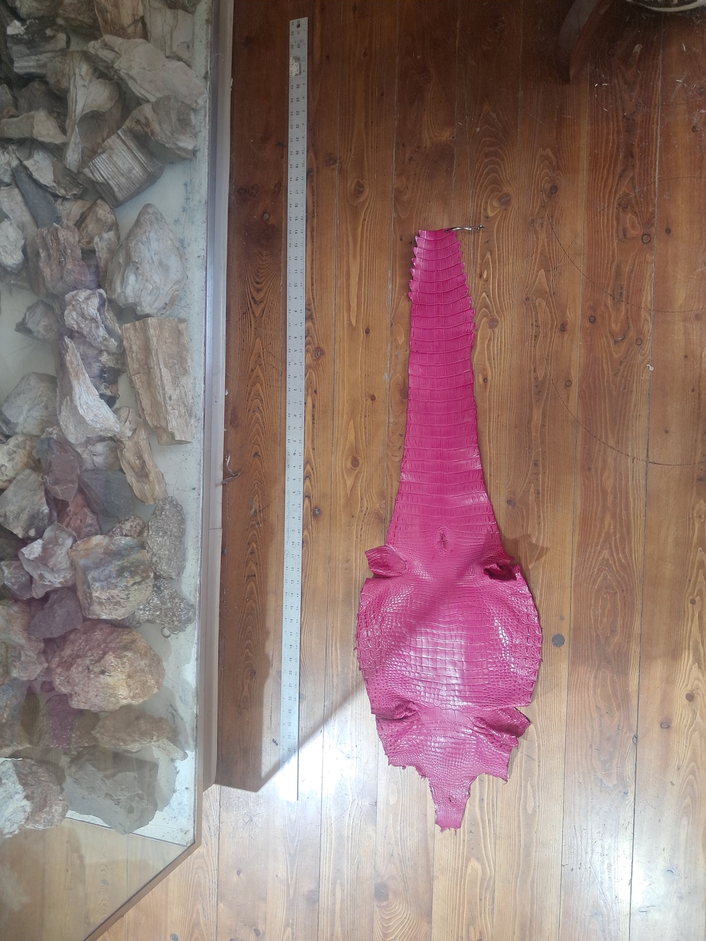 Bright Pink Australian Crocodile Belly