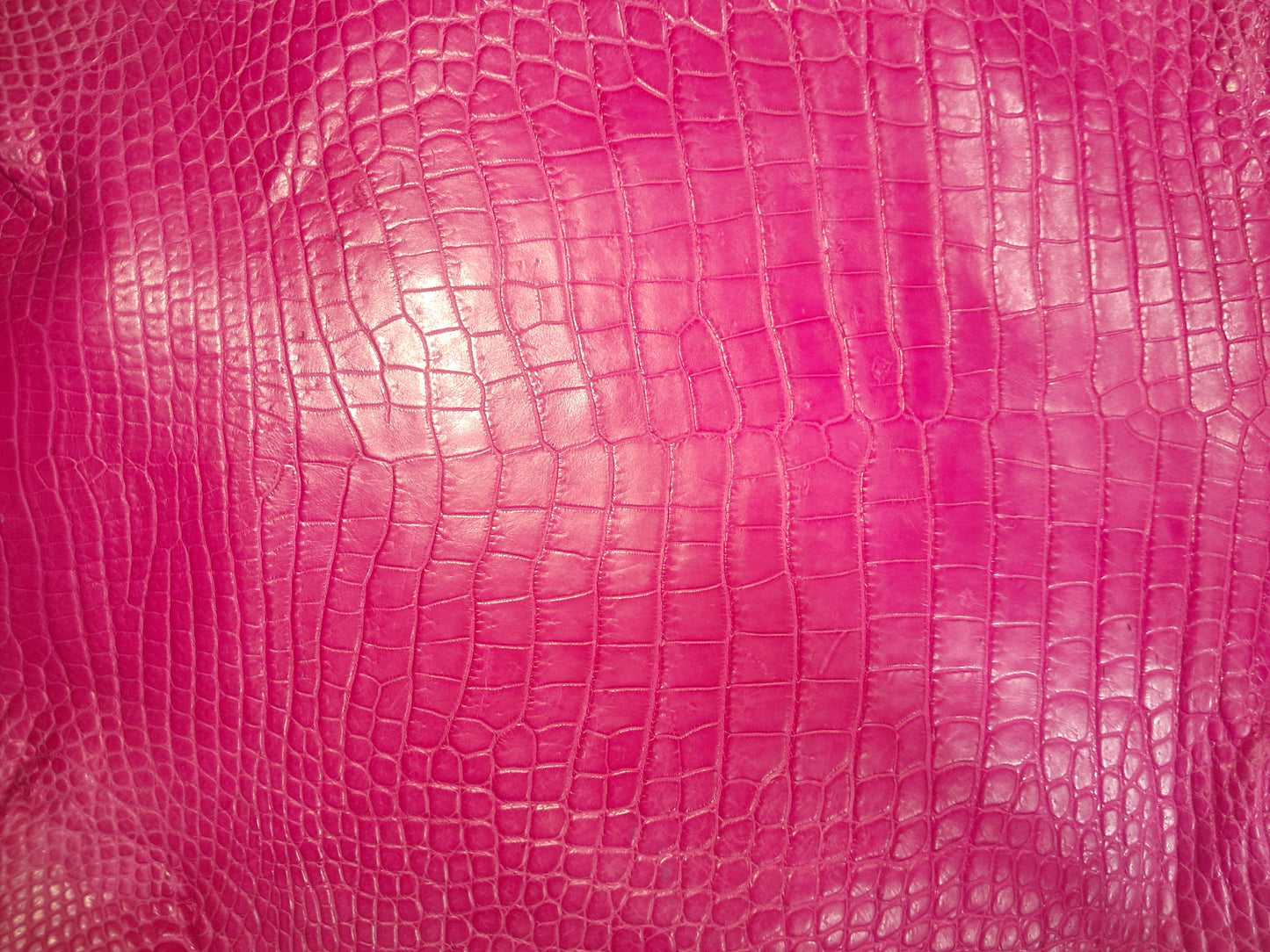 Bright Pink Australian Crocodile Belly