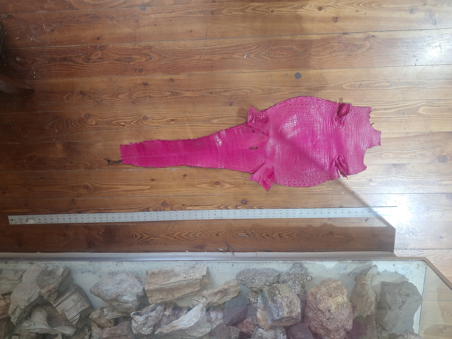 Bright Pink Australian Crocodile Belly