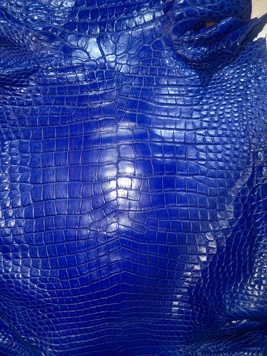 Blue Australian Crocodile Belly