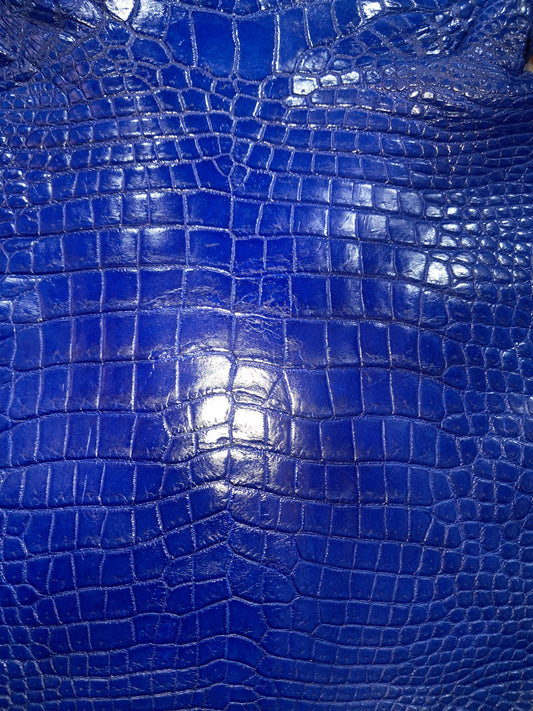 Blue Australian Crocodile Belly