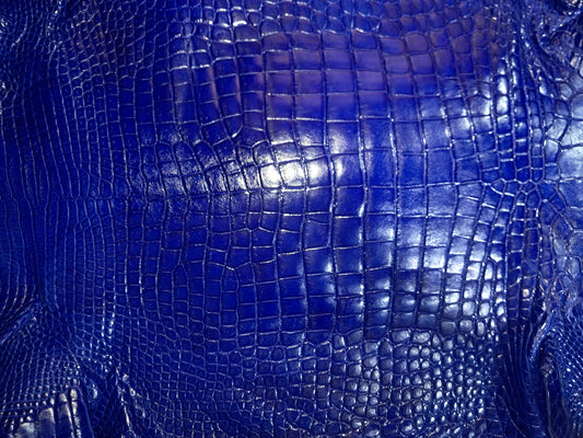 Blue Australian Crocodile Belly