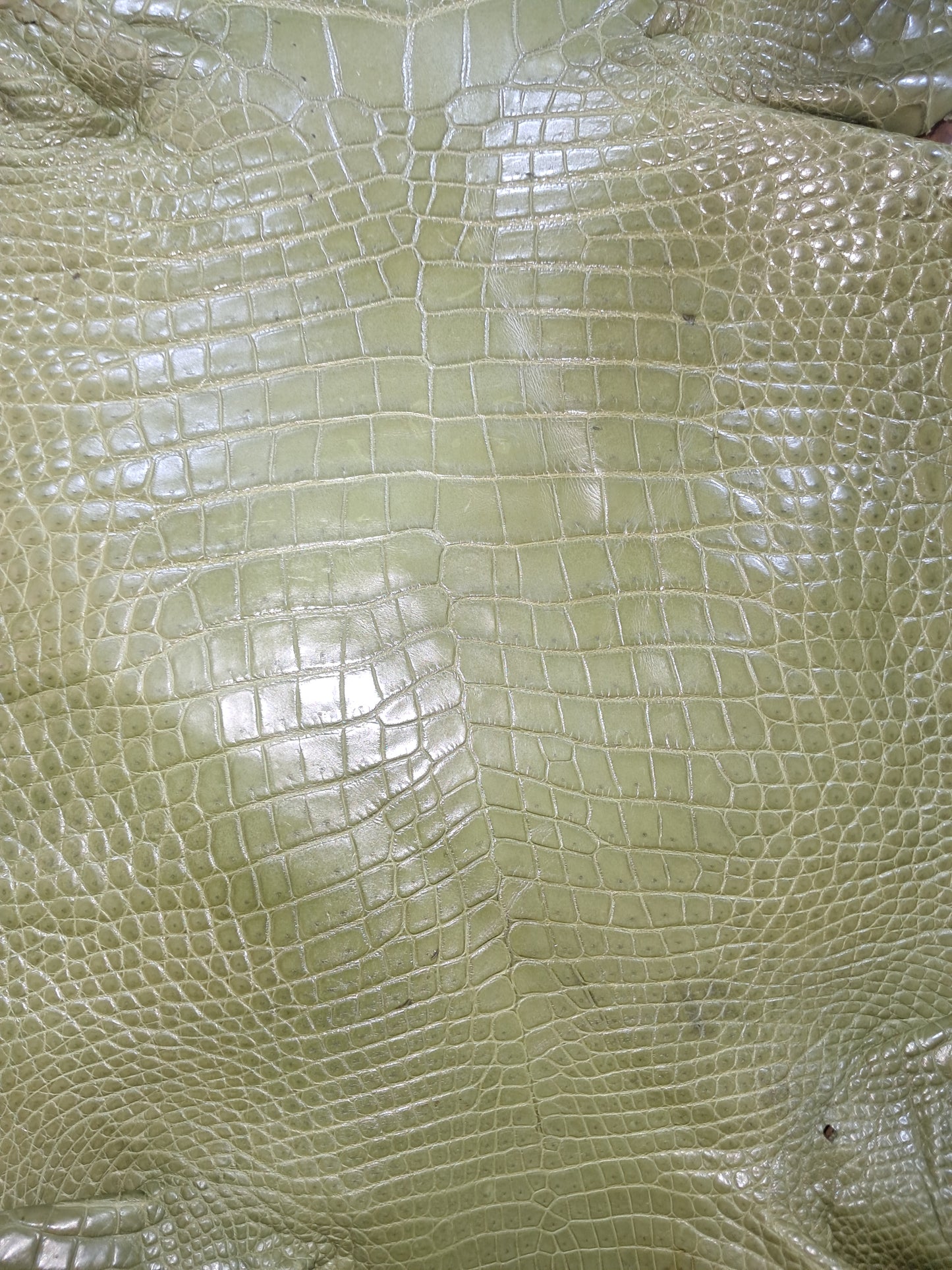 Olive Australian Crocodile Belly