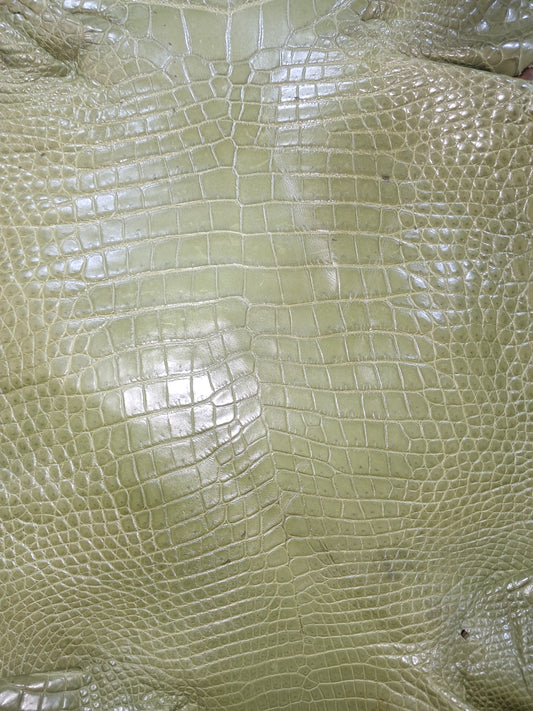 Olive Australian Crocodile Belly