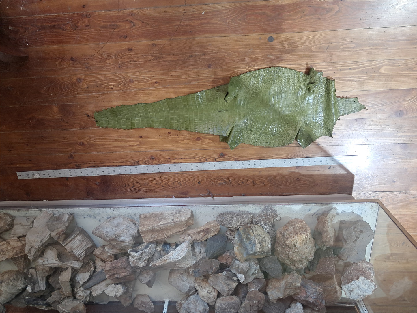 Olive Australian Crocodile Belly