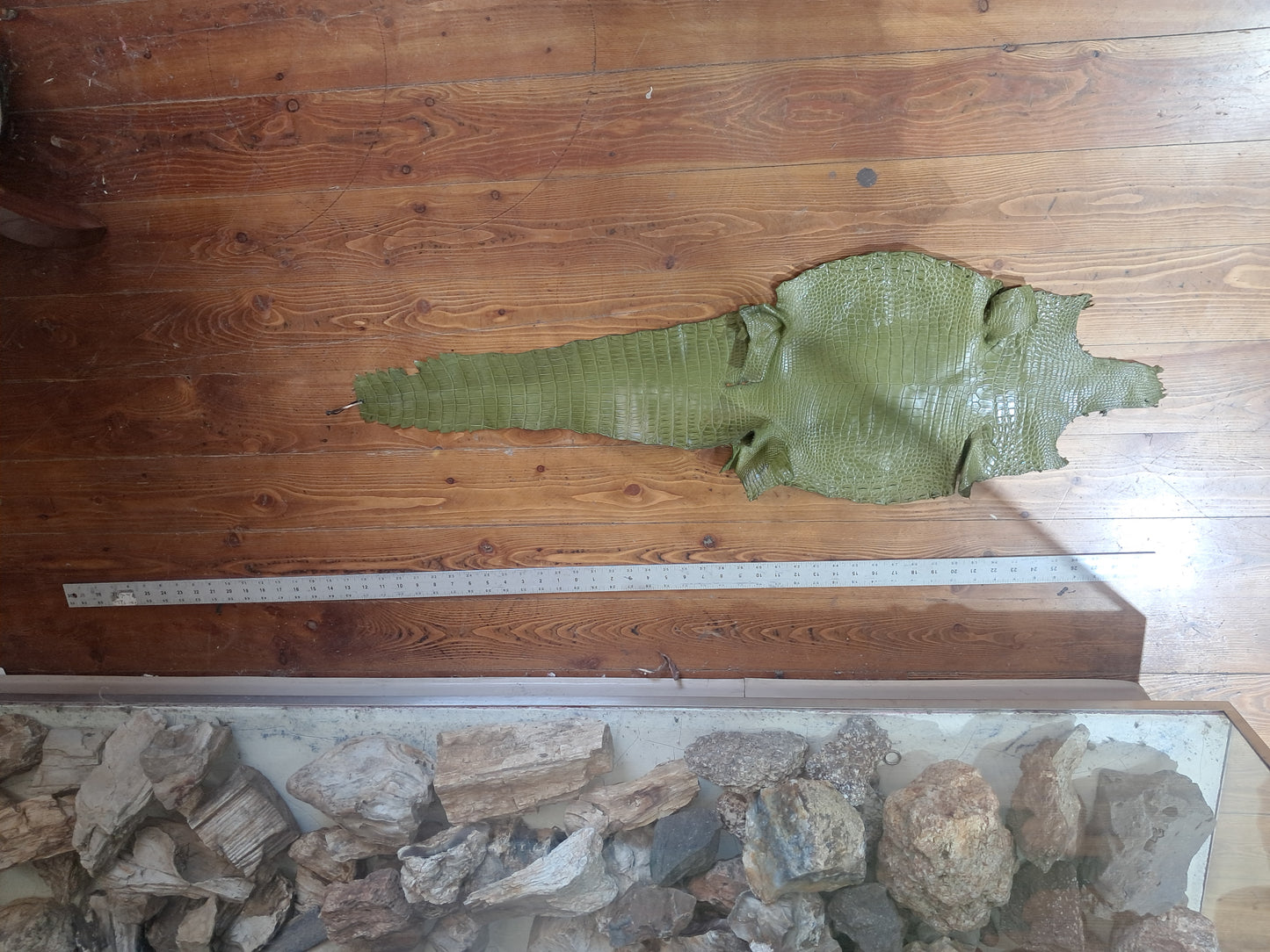 Olive Australian Crocodile Belly