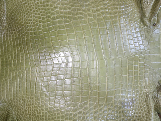 Olive Australian Crocodile Belly