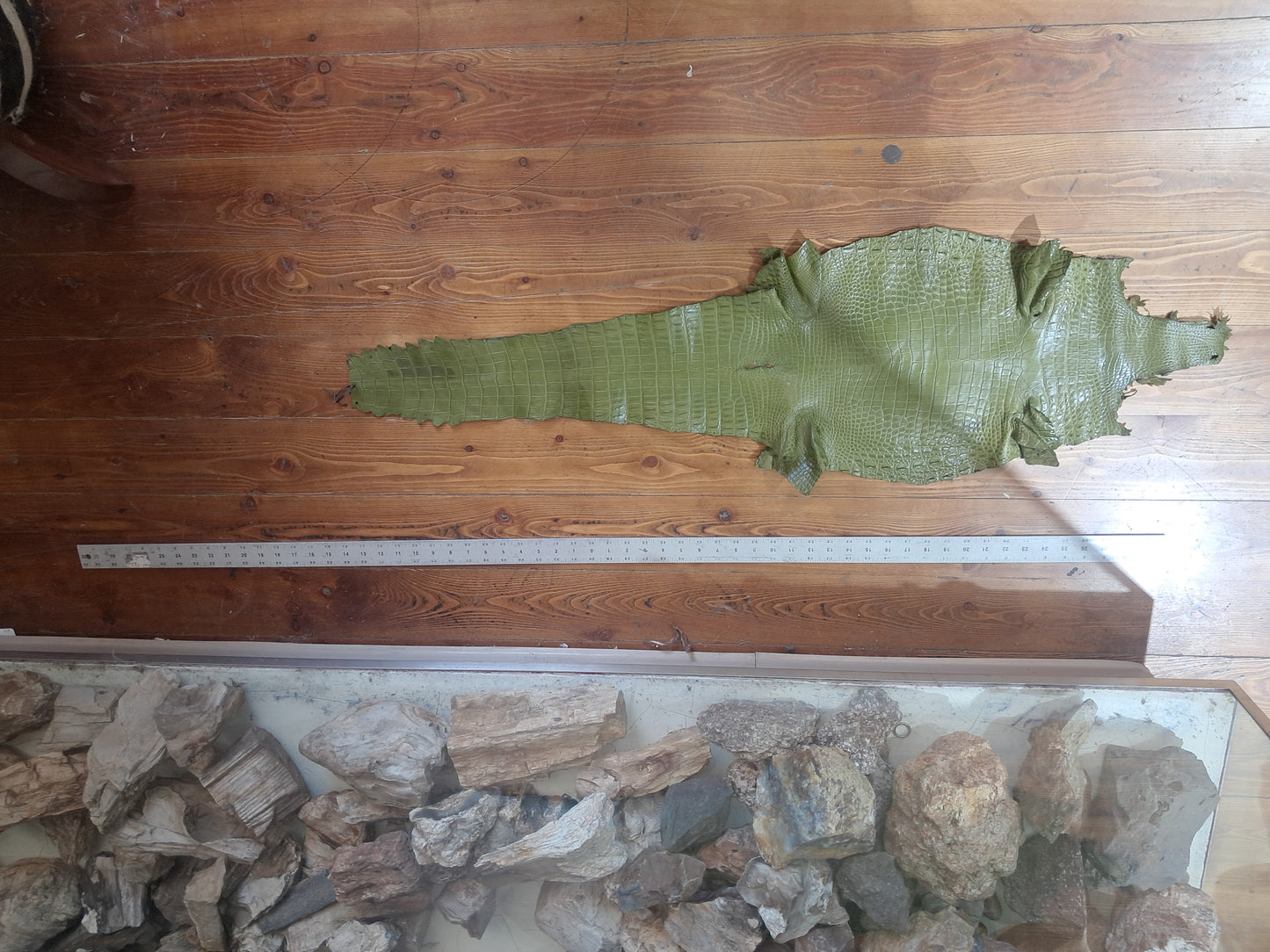 Olive Australian Crocodile Belly