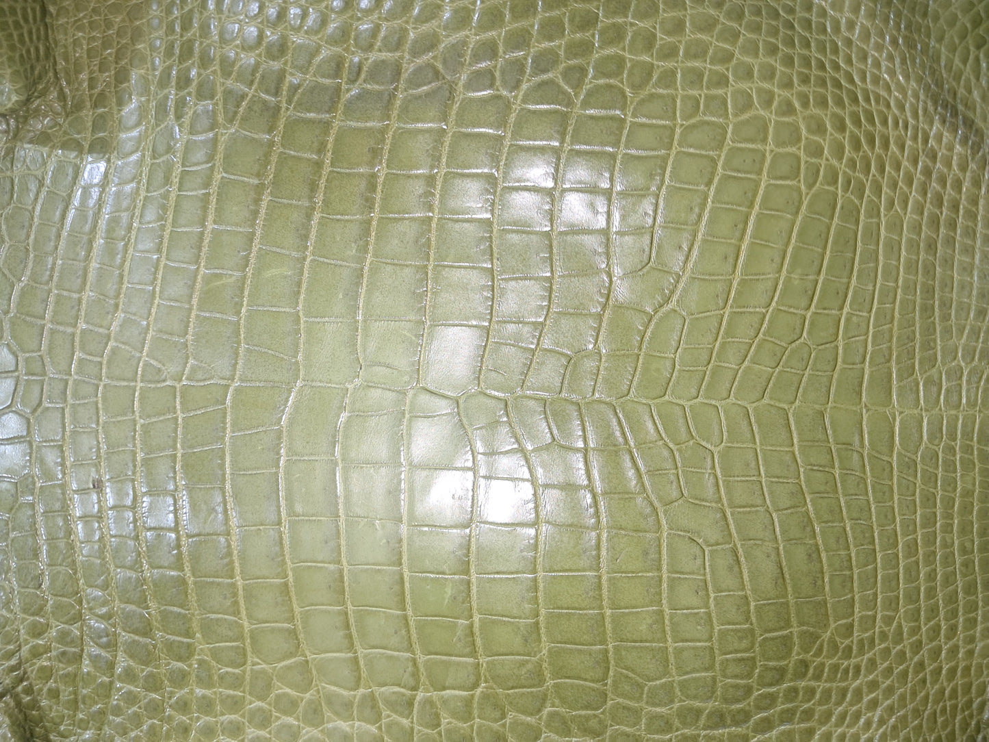 Olive Australian Crocodile Belly