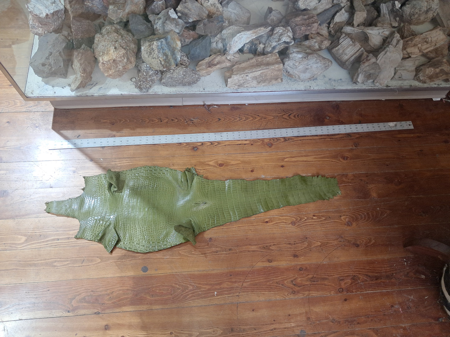 Olive Australian Crocodile Belly