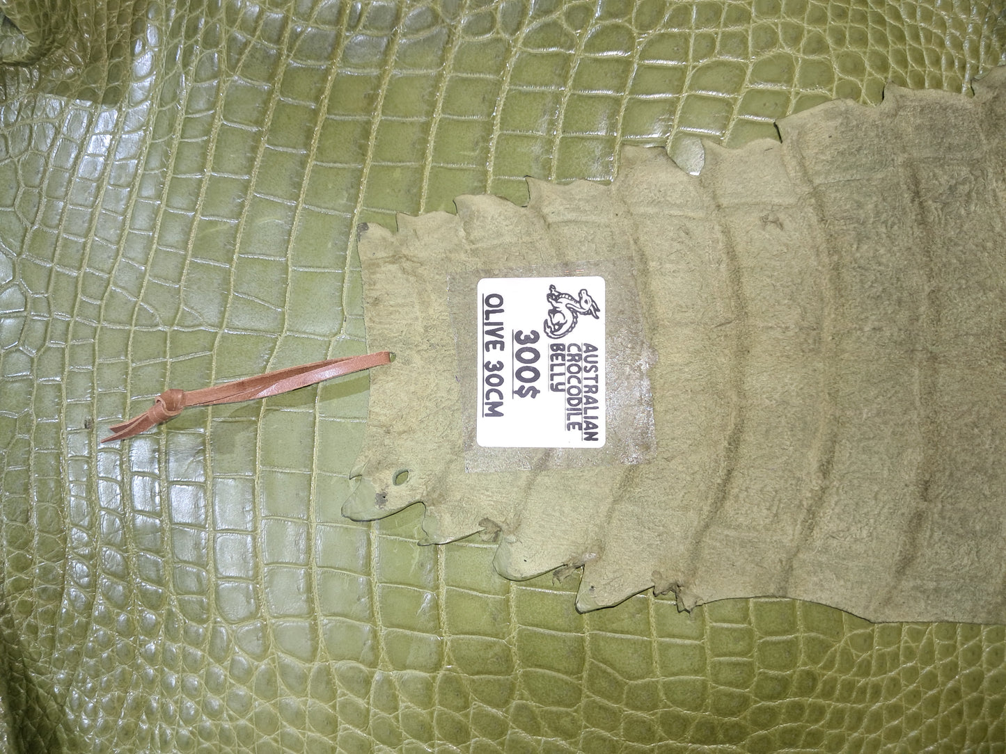 Olive Australian Crocodile Belly