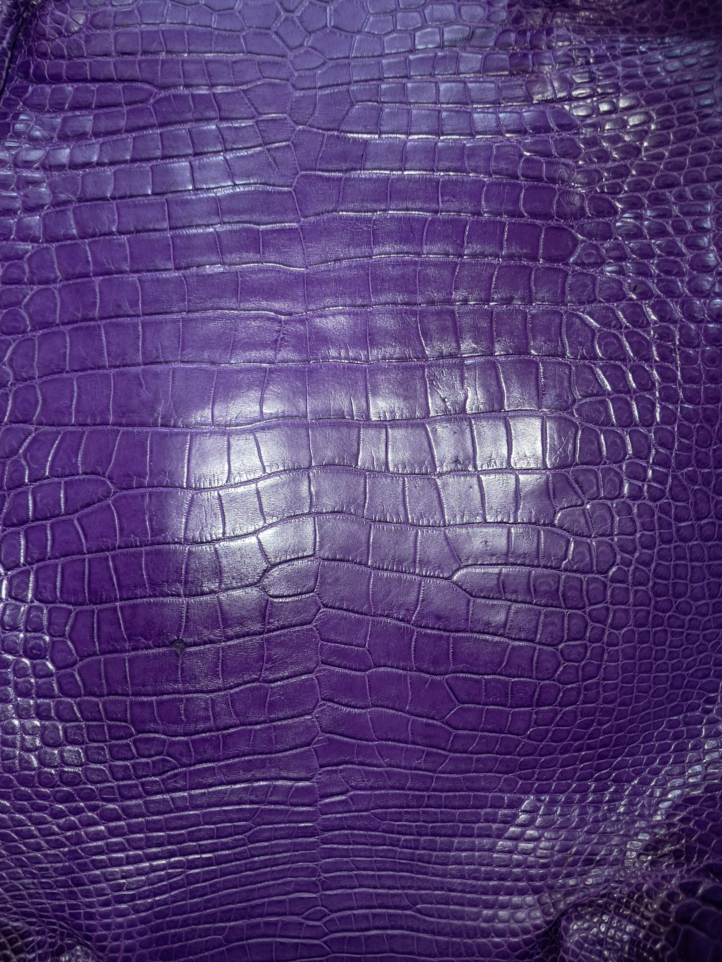 Purple Australian Crocodile Belly