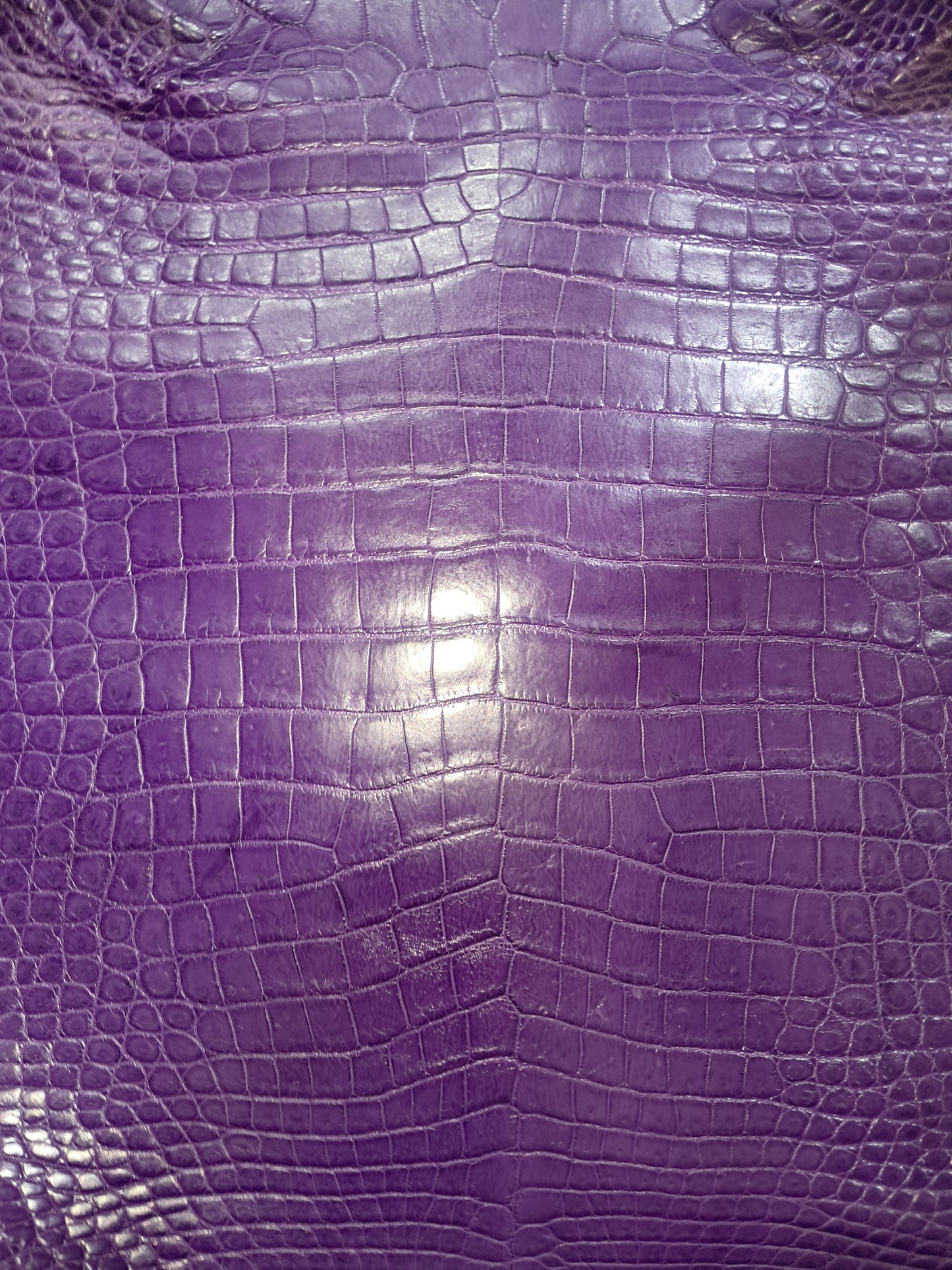 Purple Australian Crocodile Belly