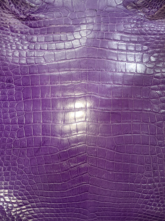 Purple Australian Crocodile Belly