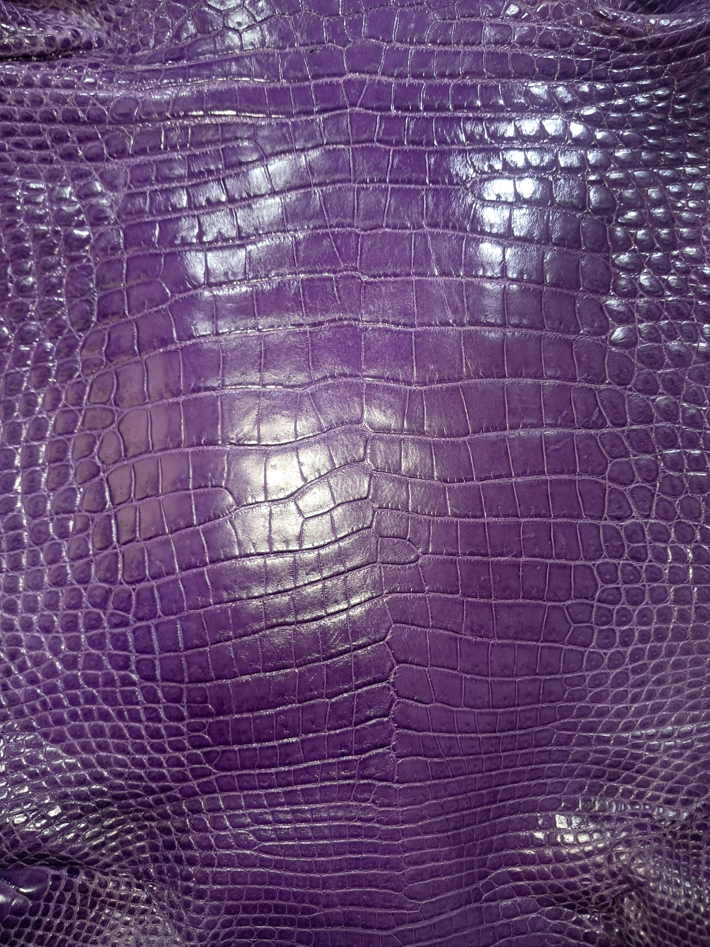 Purple Australian Crocodile Belly